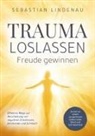 Sebastian Lindenau, Sebastian Lindenau - Trauma loslassen, Freude gewinnen