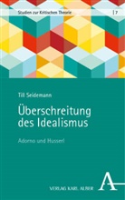 Till Seidemann - Überschreitung des Idealismus