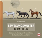 Sandra Ruzicka - Bewegungsmuster beim Pferd