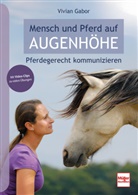 Vivian Gabor - Mensch und Pferd auf Augenhöhe