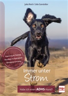 Udo Gansloßer, Julia Reich - Immer unter Strom