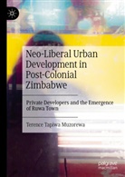 Terence Tapiwa Muzorewa - Neo-Liberal Urban Development in Post-Colonial Zimbabwe