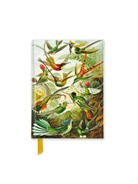 Flame Tree Publishing - Ernst Haeckel: Hummingbirds (Foiled Pocket Journal)