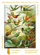 Flame Tree Publishing - Ernst Haeckel: Hummingbirds (Foiled Quarto Journal)