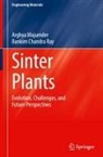 Arghya Majumder, Bankim Chandra Ray - Sinter Plants