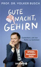 Volker Busch - Gute Nacht, Gehirn