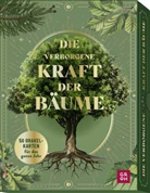 Kristin Funk - Orakelkarten: Die verborgene Kraft der Bäume