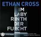 Ethan Cross, Thomas Balou Martin - Im Labyrinth der Furcht, 6 Audio-CD (Audio book)