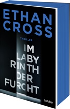 Ethan Cross - Im Labyrinth der Furcht