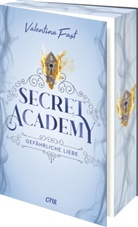 Valentina Fast - Secret Academy - Gefährliche Liebe (Band 2)