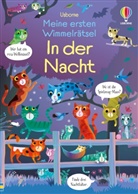 Kirsteen Robson, Gareth Lucas - Meine ersten Wimmelrätsel: In der Nacht
