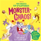 Sam Taplin, Fred Blunt - Mein verrücktes Pop-up-Klappenbuch: Monster-Chaos!