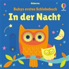 Fiona Watt, Stella Baggott - Babys erstes Schiebebuch: In der Nacht