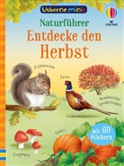 Simon Tudhope, Di Brookes - Usborne Minis - Naturführer: Entdecke den Herbst