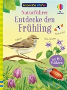 Lara Bryan, Kate Nolan, Di Brookes - Usborne Minis - Naturführer: Entdecke den Frühling