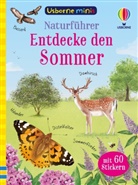 Lara Bryan, Kate Nolan, Di Brookes - Usborne Minis - Naturführer: Entdecke den Sommer