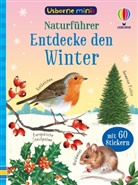 Simon Tudhope, Di Brookes - Usborne Minis - Naturführer: Entdecke den Winter
