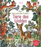 Brenda Cole, Federica Iossa - Mein Farbenzauber-Malbuch: Tiere des Waldes