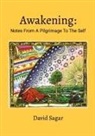 David Sagar - Awakening