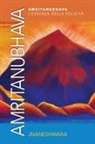 Jnaneshwara - Amritanubhava - L'essenza della Felicità