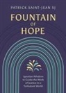 Sj Patrick Saint-Jean - Fountain of Hope