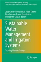 João Carlos Correia Leitão, Pedro Dinis Gaspar, Wael Khairy, Dina Pereira, Dina Pereira et al, Jelena Zascerinska - Sustainable Water Management and Irrigation Systems