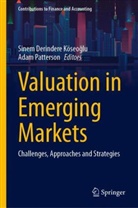 Sinem Derindere Köseoglu, Sinem Derindere Köseoğlu, Patterson, Adam Patterson - Valuation in Emerging Markets
