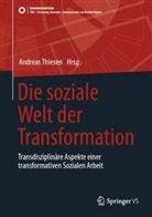 Andreas Thiesen - Die soziale Welt der Transformation