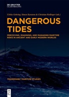 Ulrike Gehring, Simon Karstens, Christian Rollinger - Dangerous Tides
