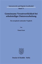 Timm Ernst - Gemeinsame Verantwortlichkeit bei arbeitsteiliger Datenverarbeitung