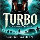Gauge Gaiden - Turbo