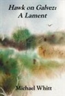 Michael Whitt - Hawk on Galvez