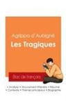 Agrippa d' Aubigné - Réussir son Bac de français 2025 : Analyse du recueil Les Tragiques de Agrippa d'Aubigné