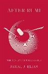 Jamal J. Elias, Elias Jamal J. - After Rumi