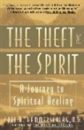 Carl A. Hammerschlag - Theft of the Spirit