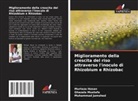 Murtaza Hasan, Muhammad Jamshed, Ghazala Mustafa - Miglioramento della crescita del riso attraverso l'inoculo di Rhizobium e Rhizobac