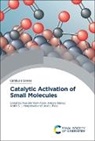 Mustafa Yasin (Usak University Aslan, Mustafa Yasin Aslan, Mustafa Yasin (Usak University Aslan, Angela Daisley, Angela (University of Glasgow Daisley, Justin S J Hargreaves... - Catalytic Activation of Small Molecules