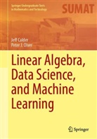 Jeff Calder, Peter J Olver, Peter J. Olver - Linear Algebra, Data Science, and Machine Learning
