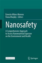 Ernesto Alfaro-Moreno, Murphy, Fiona Murphy - Nanosafety