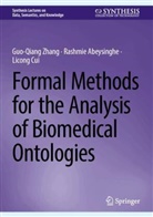 Rashmie Abeysinghe, Licong Cui, Guo-Qiang Zhang - Formal Methods for the Analysis of Biomedical Ontologies