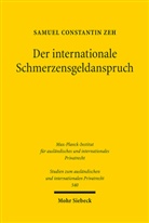 Samuel Constantin Zeh - Der internationale Schmerzensgeldanspruch