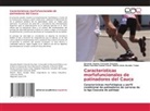 Gerardo Andrés Certuche Guzmán, Diana Carolina Cuaran Coral, Martin Alirio Dorado Tobar - Características morfofuncionales de patinadores del Cauca
