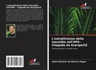 André Brenner de Alencar Pageú - L'estrattivismo della macaúba nell'APA - Chapada do Araripe/CE