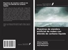 Koji Nishiyama, Kikuro Tomine, Kenji Wakimizu - Muestras de siembra artificial de nubes con dióxido de carbono líquido