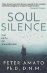 Peter Amato PH. D Dnm - Soul Silence