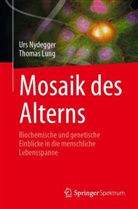 Thomas Lung, Urs Nydegger - Mosaik des Alterns