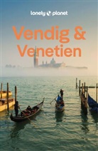 Alison Bing - LONELY PLANET Reiseführer Venedig & Venetien