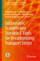 Avinash Kumar Agarwal, Camille Hespel, Snehasish Panigrahy, Snehasish Panigrahy et al, Nikhil Sharma, Paramvir Singh - Sustainable, Scalable and Storable E-Fuels for Decarbonising Transport Sector