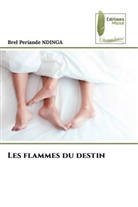Brel Periande NDINGA - Les flammes du destin
