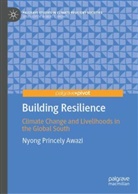 Nyong Princely Awazi - Building Resilience